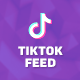 TikTok User Videos Feed for WordPress - CodeCanyon Item for Sale