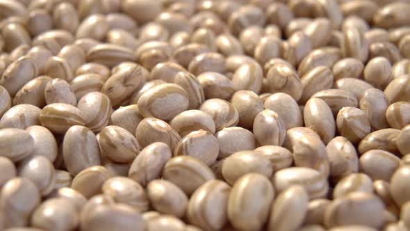 Raw Carioca beans. Legume grains. Phaseolus vulgaris