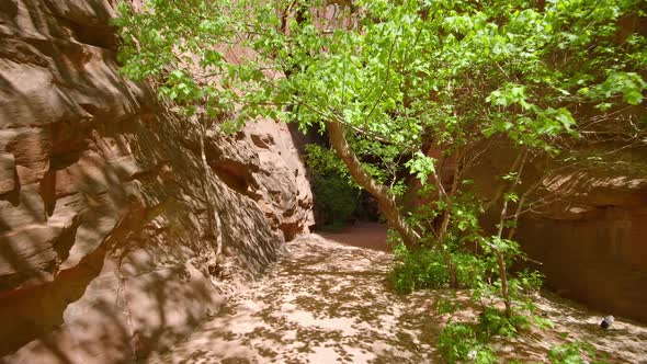 Hiking into dark slot canyon in Escalante