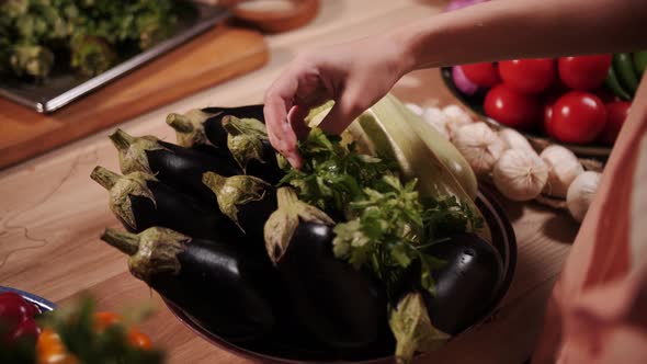 girl picks vegetables, eggplant and zucchini, tomatoes and peppers