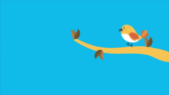 Bird 4K