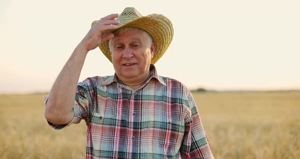 Elderly Man Standing Among Ripe Wheat