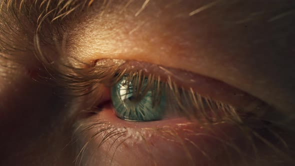 Macro Shot of Man's Eye