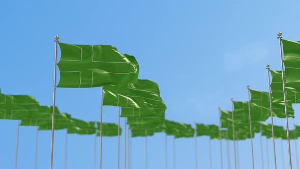 Ladonia Row Of Flags 3D Animation