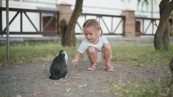 Little Girl Playing With Cat Outdoors Summer Day