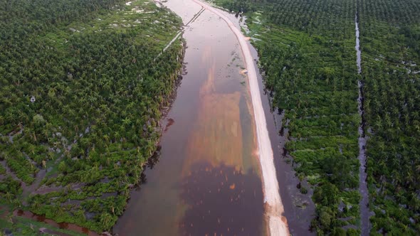 Flood water near land clear at oil palm plantation