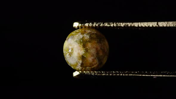 Natural Hydrogrossular Green Garnet in Tweezer on Turn Table