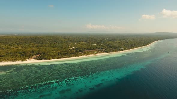 Tropical Beach and Turquoise Sea Philippines, Bohol