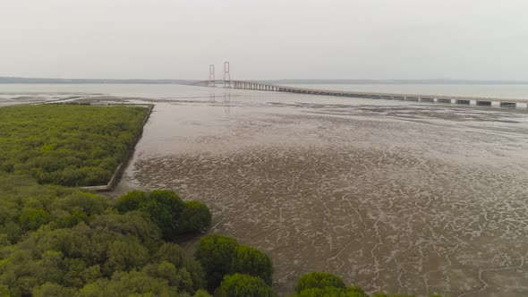 Suspension Cable Bridge in Surabaya