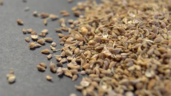 Dry aniseed. Dried anise seeds seasoning on black paper. Macro