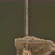 Old Pedestrian Rope Bridge from Aerial 1 - VideoHive Item for Sale
