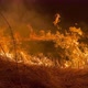 Forest Fire Wildfire Burning Grass and Bushes Close Up - VideoHive Item for Sale