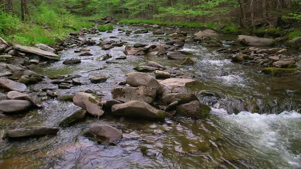 Smooth low slow-motion drone footage of a beautiful stream in a lush, green, magical forest