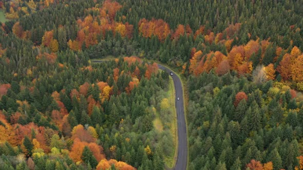 Aerial View Of Mountain Road At The Autumn Forest 3