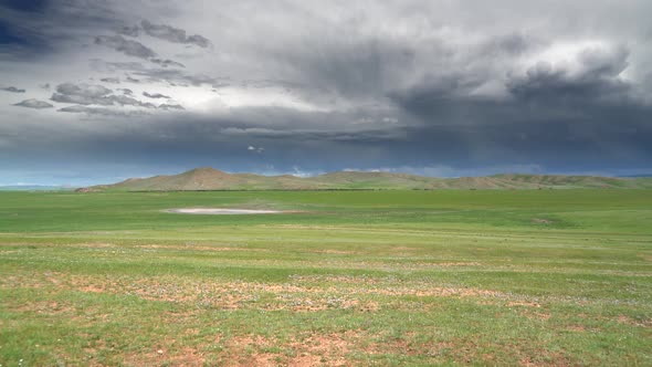 Mixed Livestock Animal Herds on the Vast Plain Under The Storm Clouds