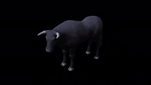 Bull Idle View From Top Angle Front View alt