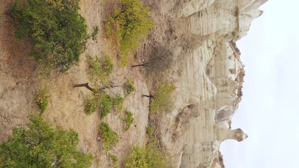 Vertical Video Cappadocia Landscape Aerial View