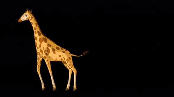 Big giraffe runs and stops alpha matte full shot 4K