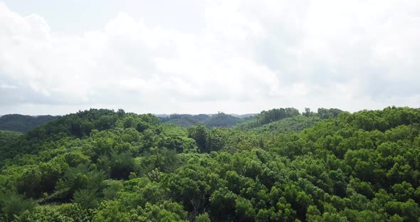 Cinematic flight over dense forest growing on hills with cloudy sky and sunlight in Asia