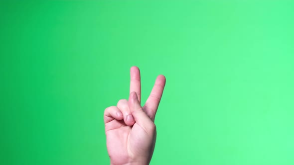 Sign Language on the Background of Chroma Key