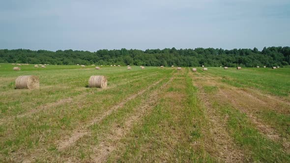 Aerial View of Hay Bales on the Green Field