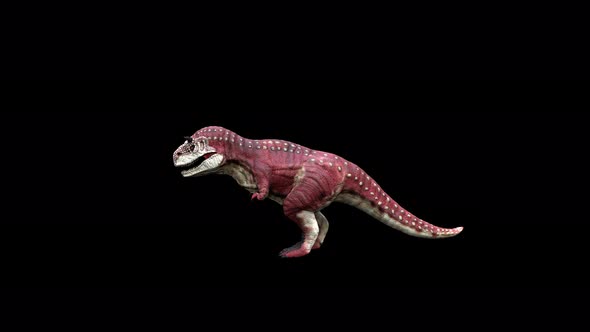 4K Red Carnotaurus Idle