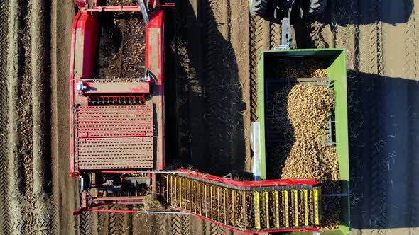 Top View, Aero, Useing Machinery at Farm Field During Potatoe Harvesting, Potatoe Picking Machine