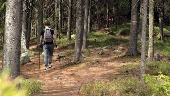 Close up hands of active male holding trekking poles going at spring forest steadicam establish shot