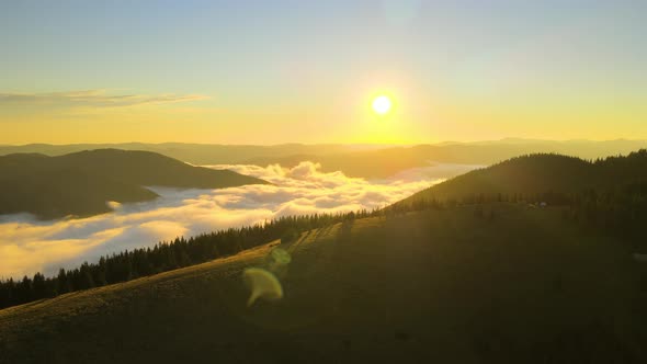 Aerial View of Amazing Scenery with Foggy Dark Mountain Peak Covered with Forest Pine Trees at