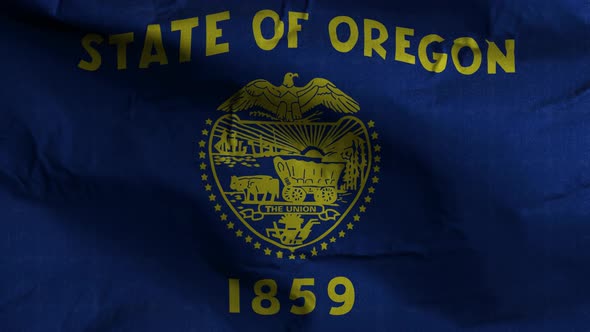 Oregon State Flag 4K