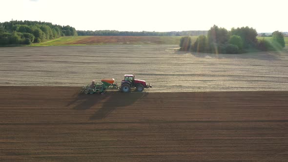 Tractor Plowing Field Or Planting Grains Against Sunshine At Sunset Aerial View