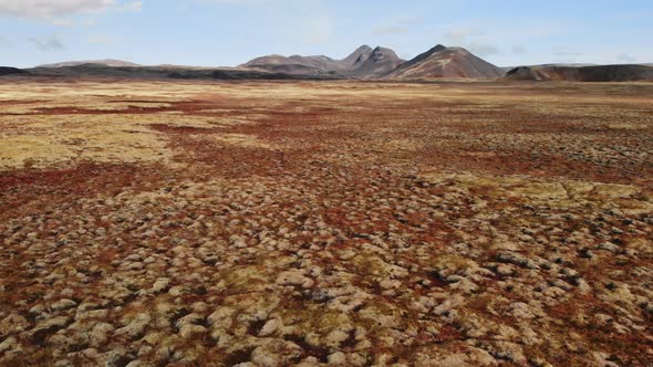 Beautiful Volcanic Landscape in Autumn Close To Thingvellir Nation Park Iceland