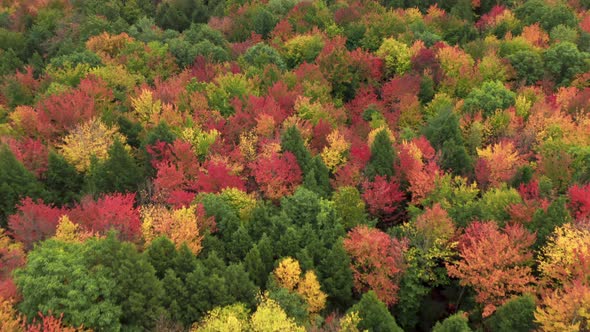 Scenic Autumn Woodland Background on Sunny Day in Vermont New Hampshire Aerial
