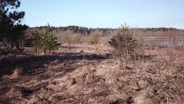 Spring Landscape Of Shevino Lake 02