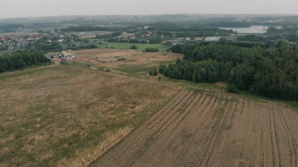 View of forest and field in Kolbudy, Kaszubia, pomorskie, Poland