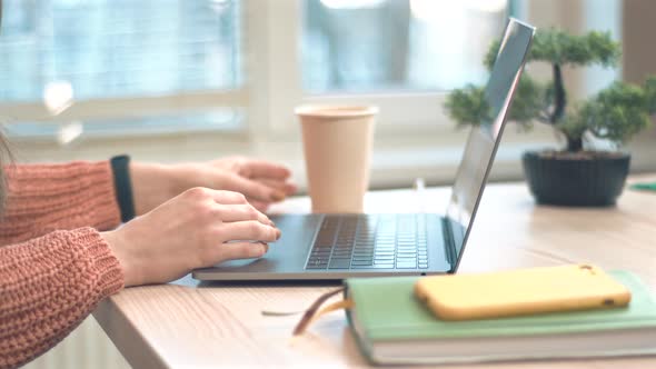 Footage of woman worker sitting in office and working at laptop.