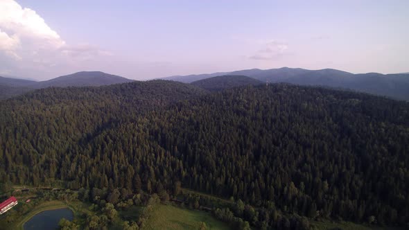 Forest in the Mountains (Stock Footage)