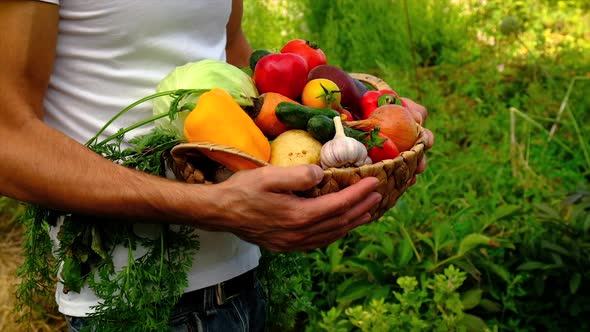 Father and Child Harvest Vegetables