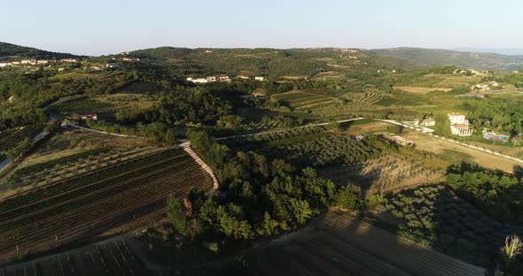 Aerial view of beautiful countryside at sunset with vineyard, Croatia.