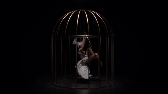 Girl Spinning on a Hoop in a Gold Cage