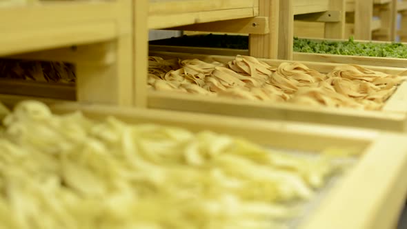 Dried Pasta in Racks in Factory - Closeup