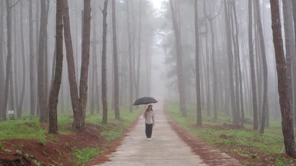 Slow motion of a young woman with umbrella walking alone in the woods on foggy day