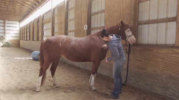 Beautiful young women cowgirl brushing red brown horse in an indoor arena with lovely sunbeams dust