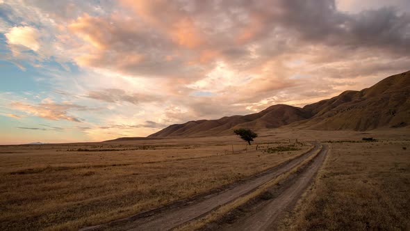 Colorful sunset over dirt road in gold grassy field