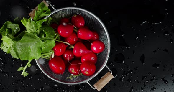 The Radishes in a Colander Falling Water Drops. 