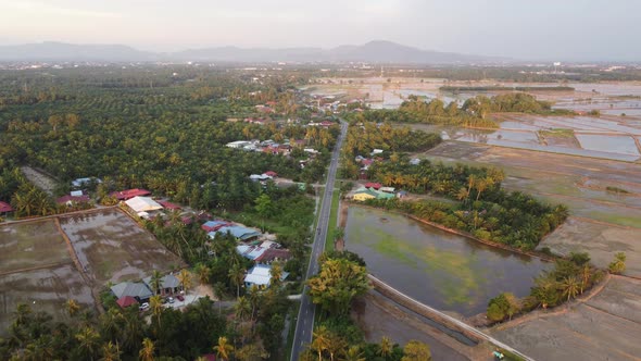 Aerial view green plantation near the kampung