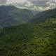 Beautiful natural scenery of tropical green forest with trees and mountain in background Drone Shot - VideoHive Item for Sale