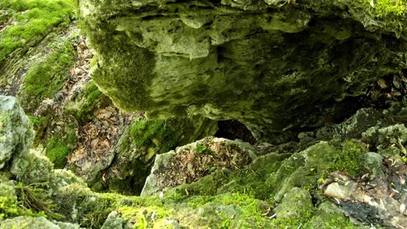 Stone Caves In The Forest Covered With Moss