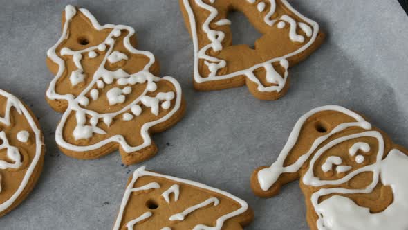 Christmas Holiday Gingerbread Cookie