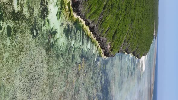 Zanzibar Tanzania  Vertical Video of Low Tide in the Ocean Near the Coast Slow Motion